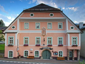 Blaue Traube Bad Aussee